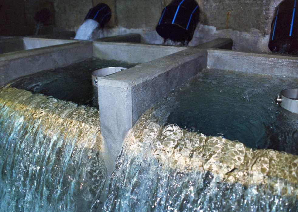 Bassins de la chambre de captage